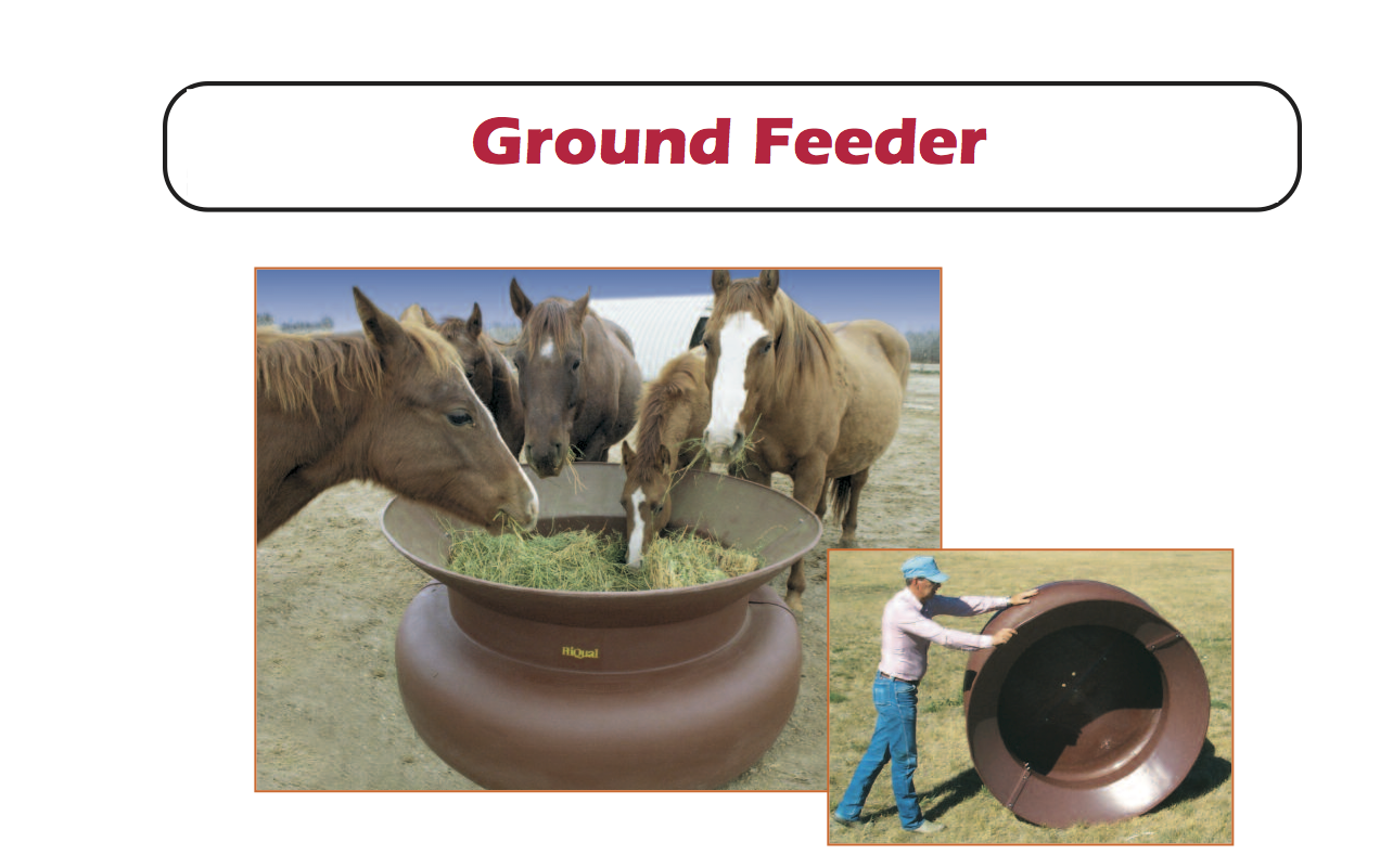 ground feeder